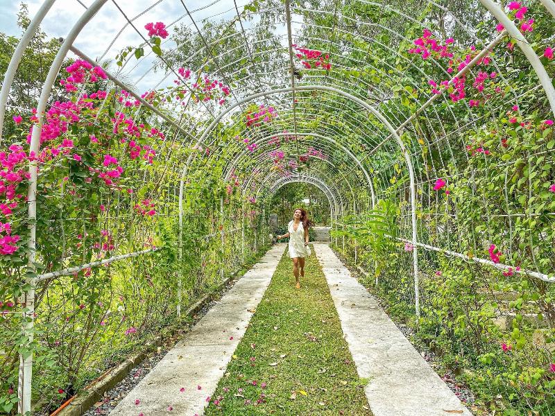 Hiraya Wellness Resort And Ecopark