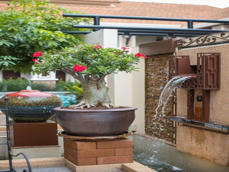 La Seine City Resort Chiang Mai image
