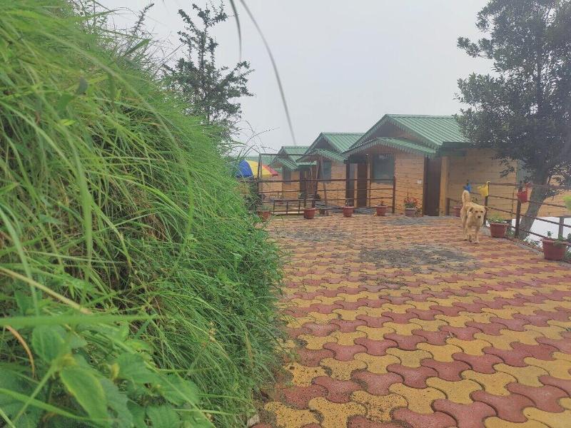 Laserene The Cottage image