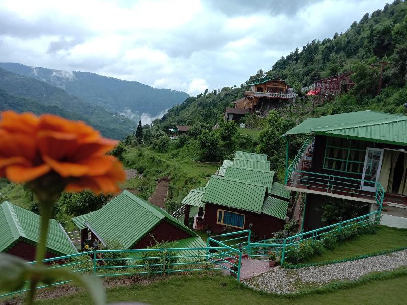 Laserene The Cottage image