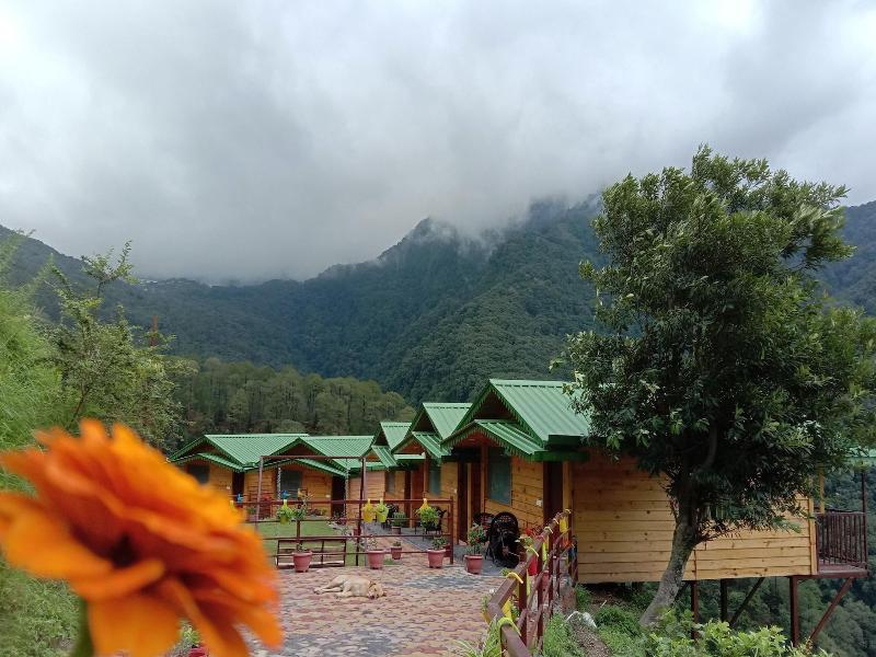 Laserene The Cottage image