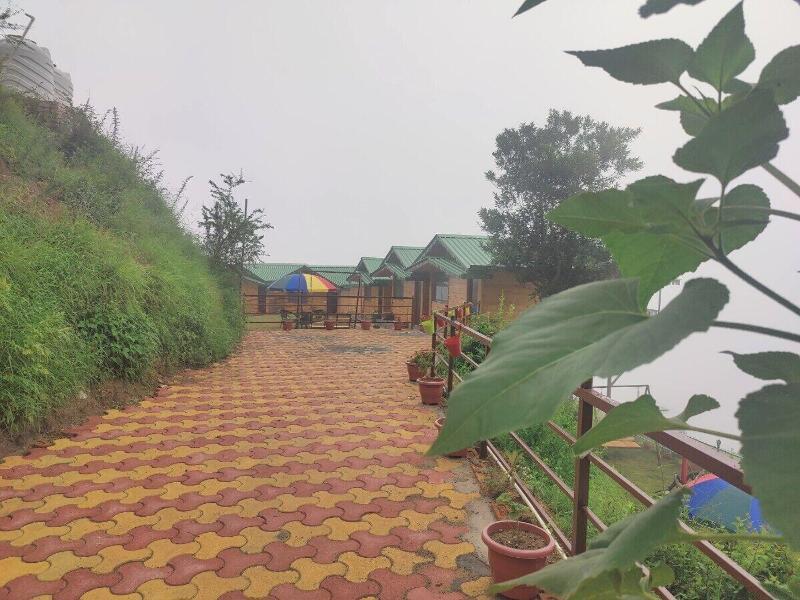 Laserene The Cottage image