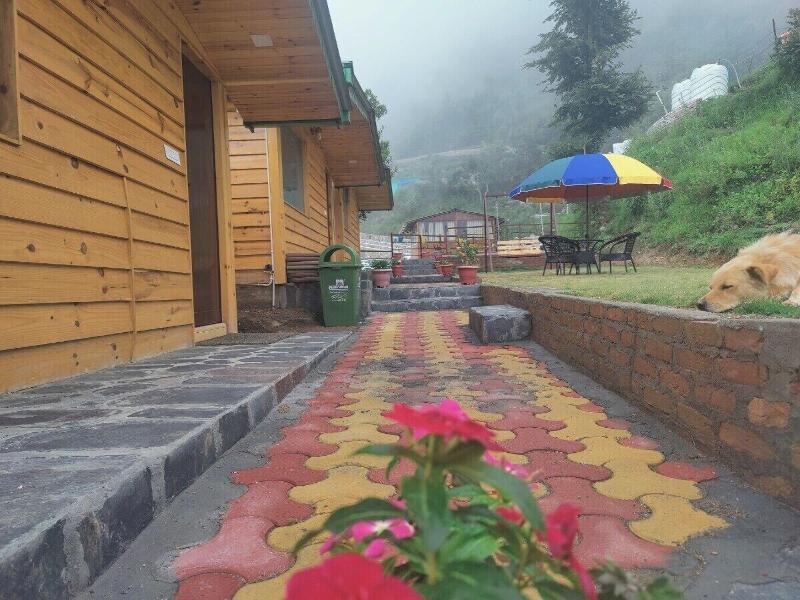 Laserene The Cottage image