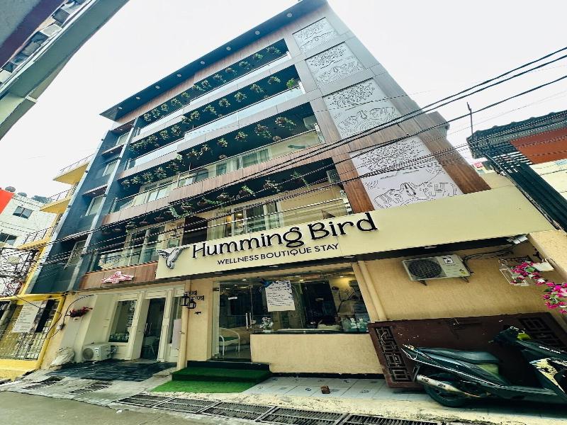 Hummingbird - A Luxury Stay image