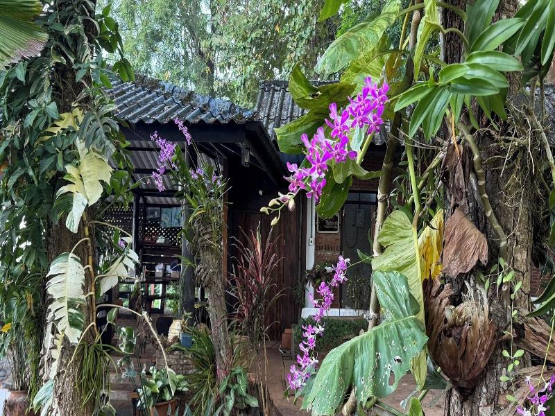 Kawarin Saiyai Cottage And Lake image