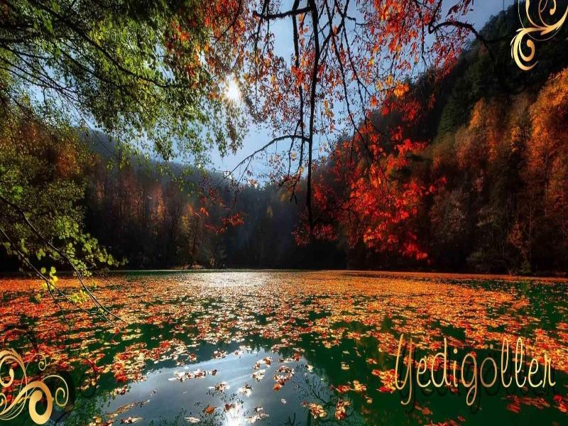 Bolu Evim Otel