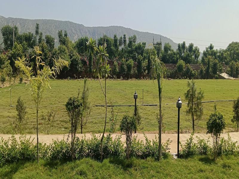 Spree Resort Sariska