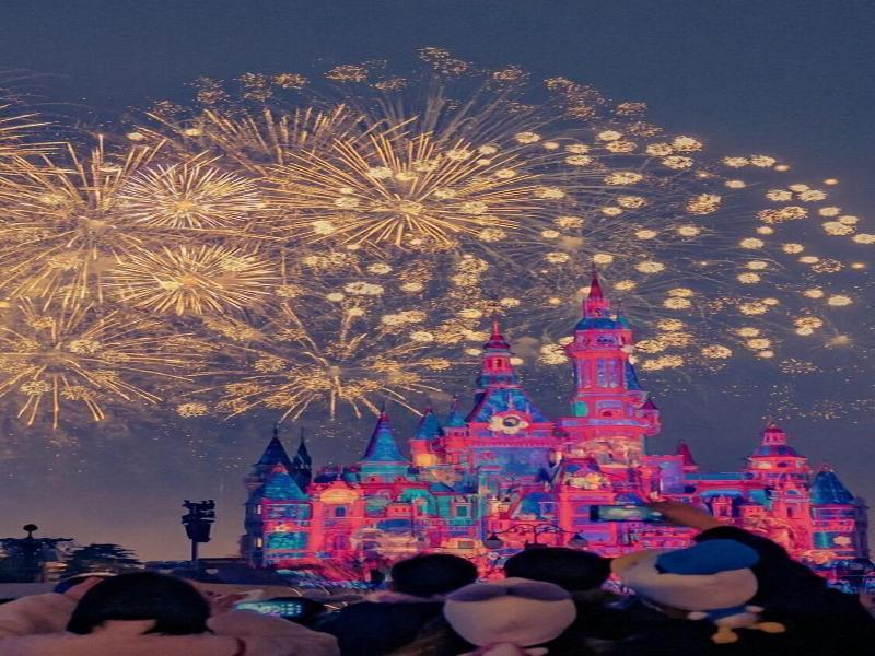 Shanghai Vintage Hotel Disneyland Branch image