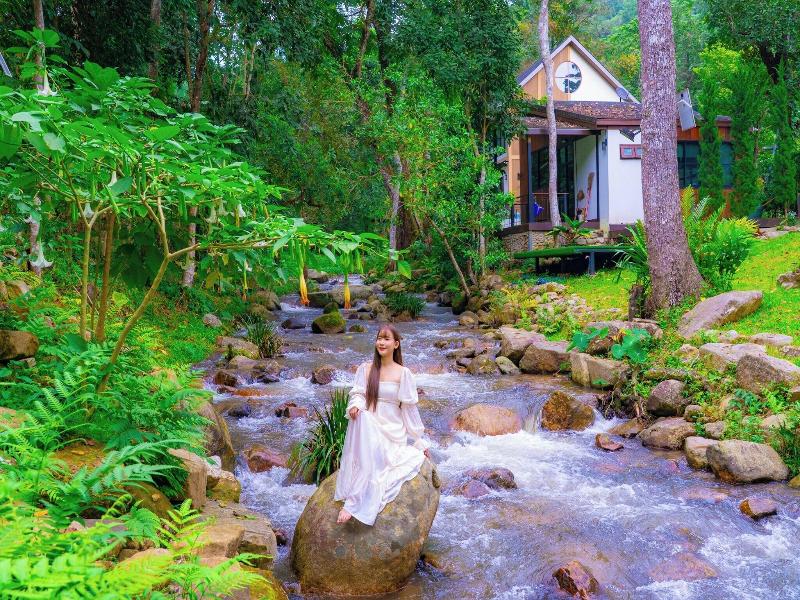 Pangthara65 Chiang Mai image