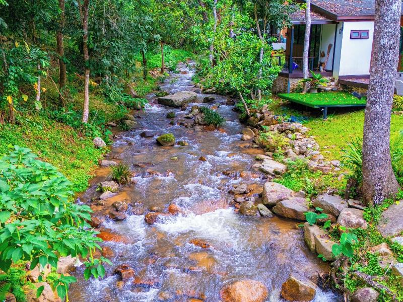 Pangthara65 Chiang Mai image