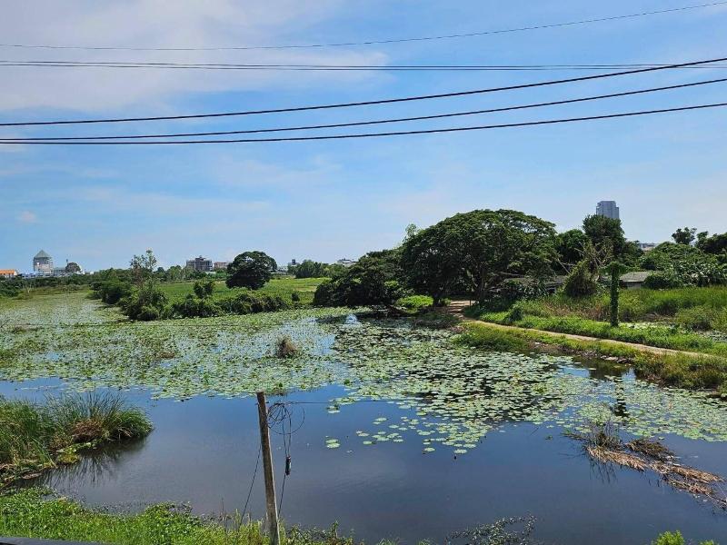 Cottage Pine Rayong image