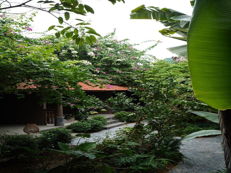 Toki Retreat Vã¢n Long image