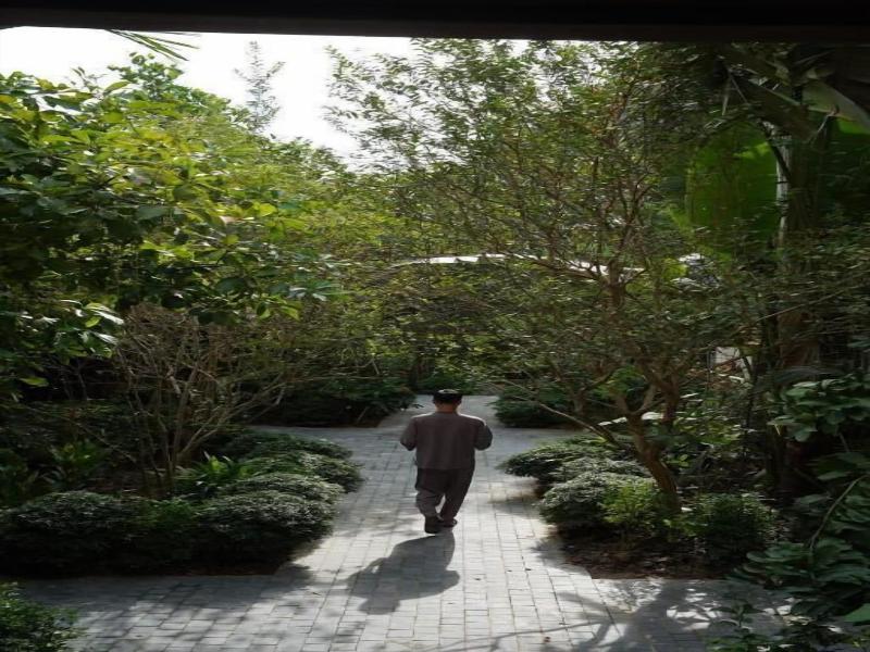Toki Retreat Vã¢n Long image