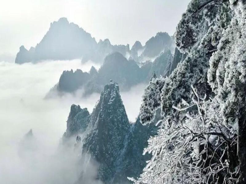 Huangshan Constellation Xingsu Boutique Hotel