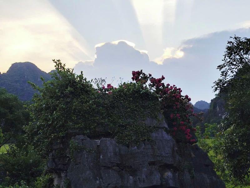 Heritage Haven image