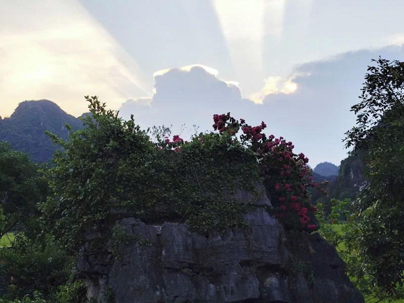Heritage Haven image