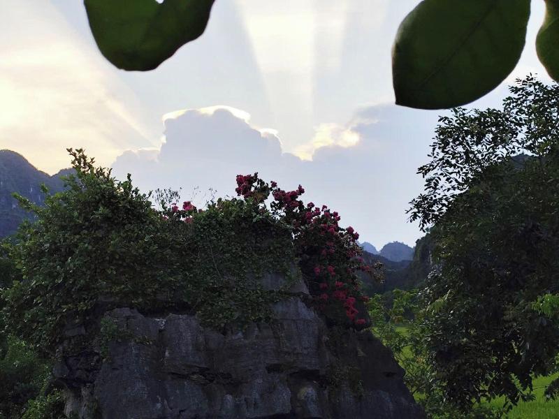 Heritage Haven image