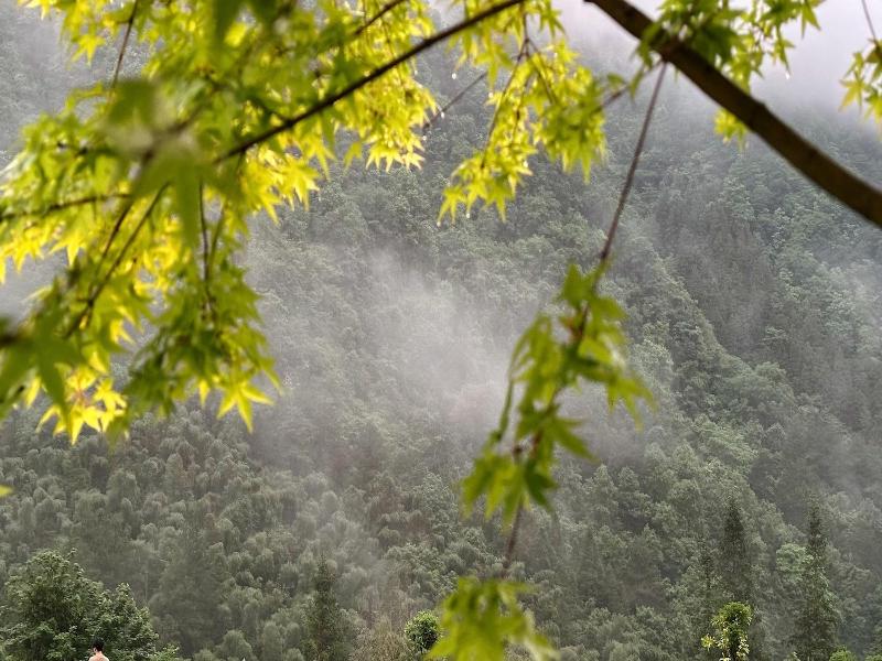 Zhangjiajie Valley Love Holiday Hotel — photo 159