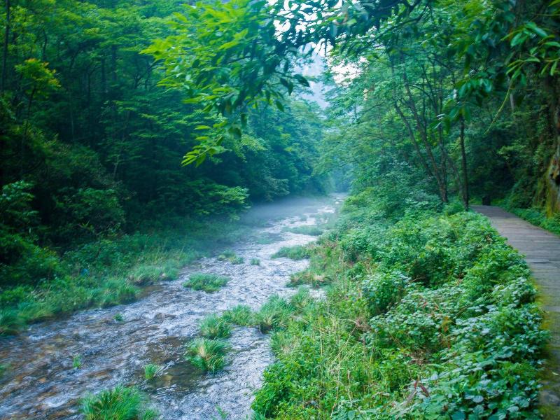 Zhangjiajie Valley Love Holiday Hotel — photo 135