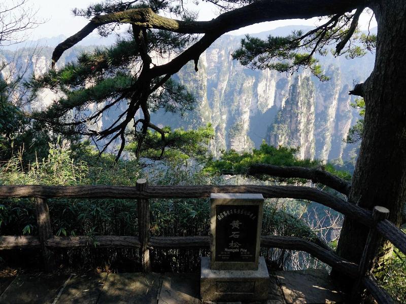 Zhangjiajie Valley Love Holiday Hotel — photo 82