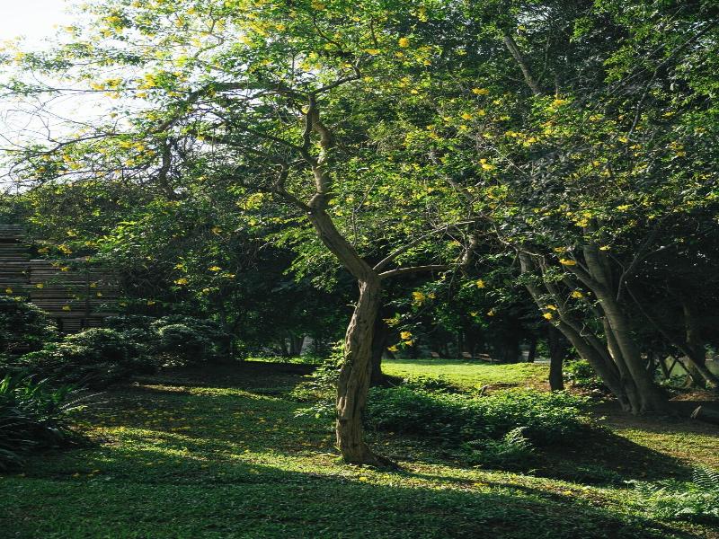 Chong Khaep Aingkwai Resort image