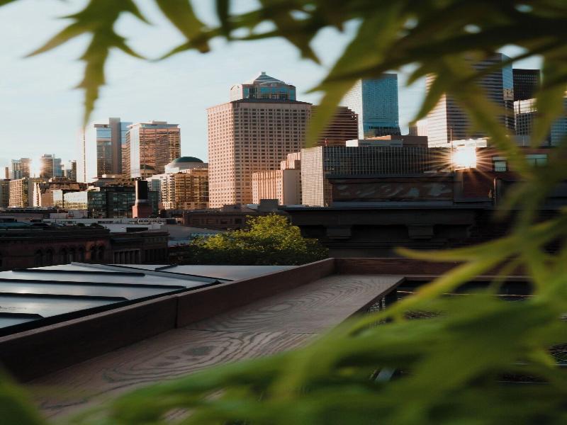 Populus Seattle image