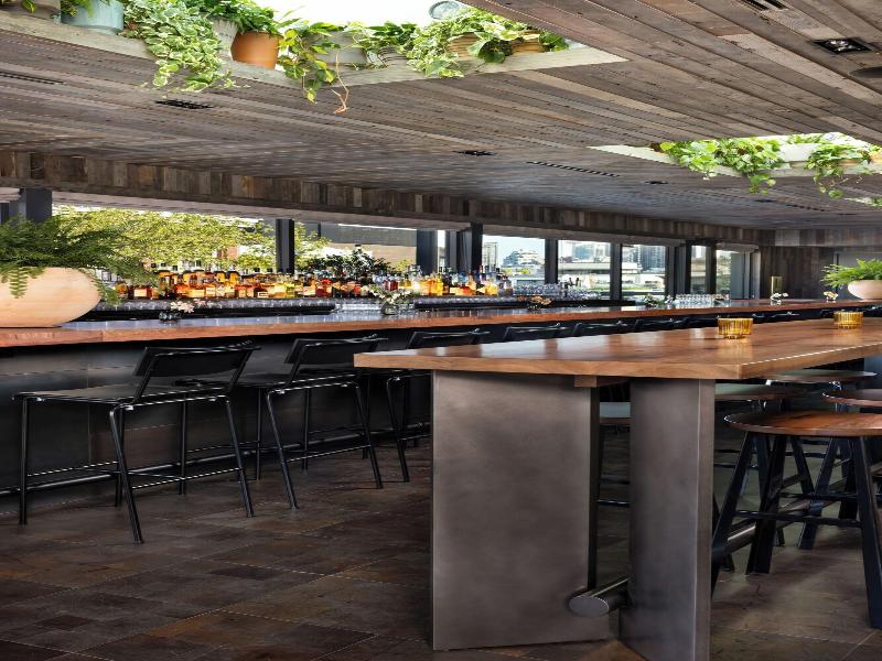 Populus Seattle image