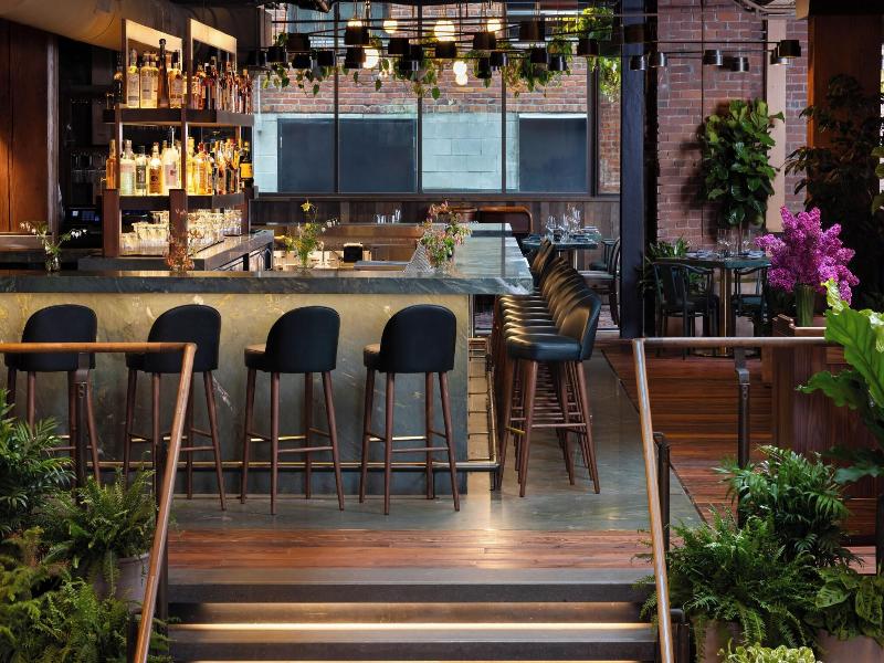 Populus Seattle image