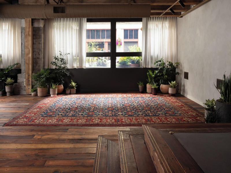 Populus Seattle image