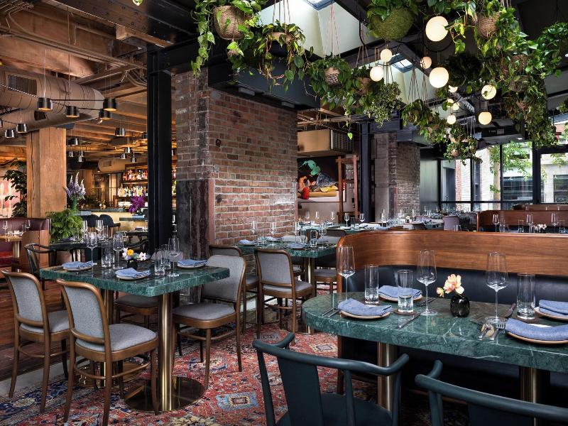 Populus Seattle image