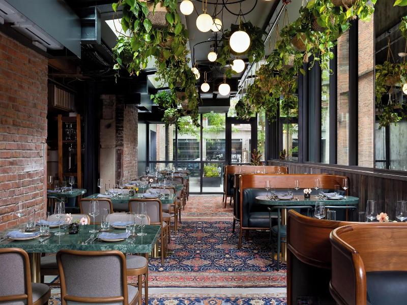 Populus Seattle image