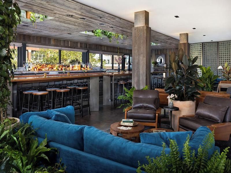 Populus Seattle image