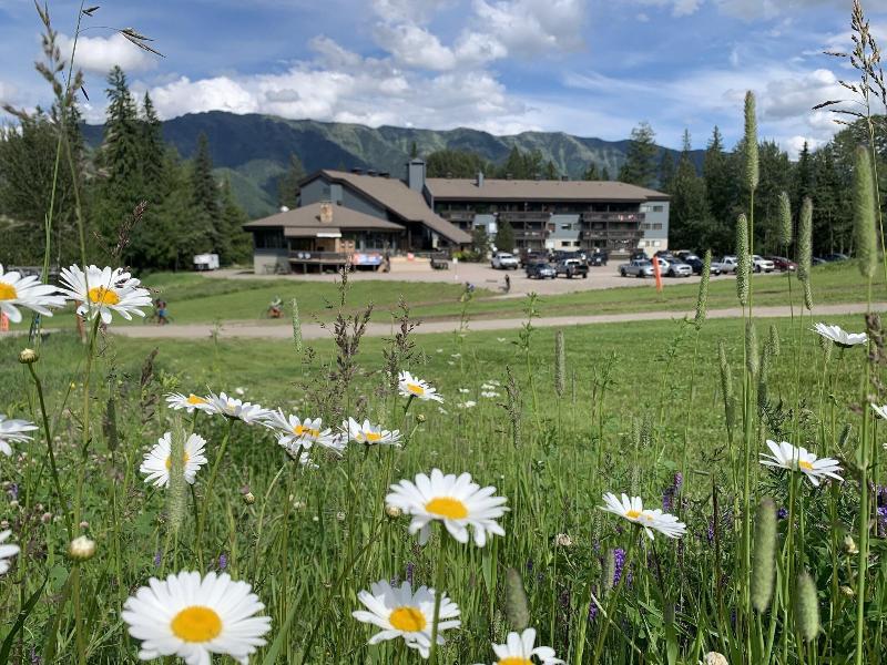 The Griz Inn