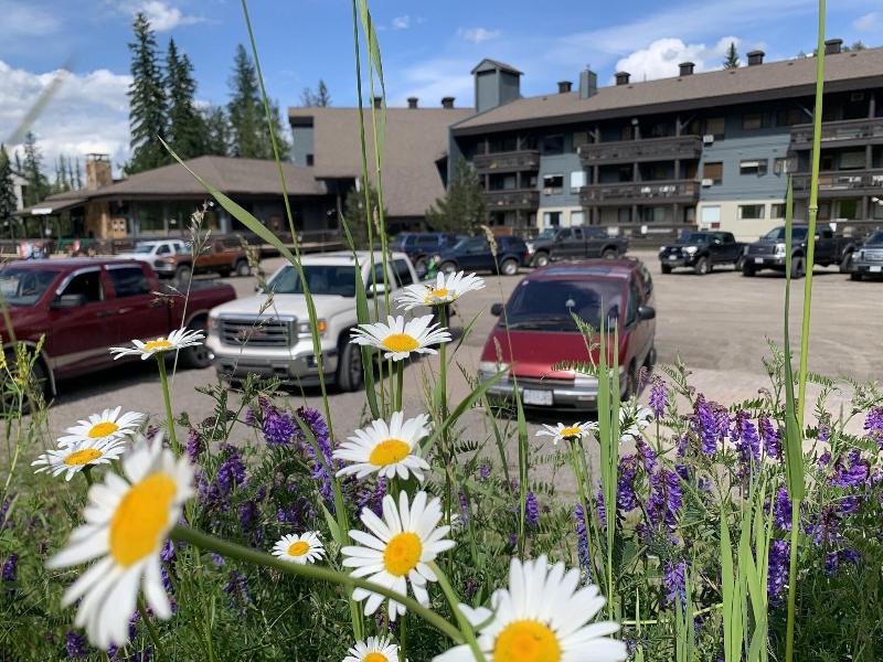 The Griz Inn