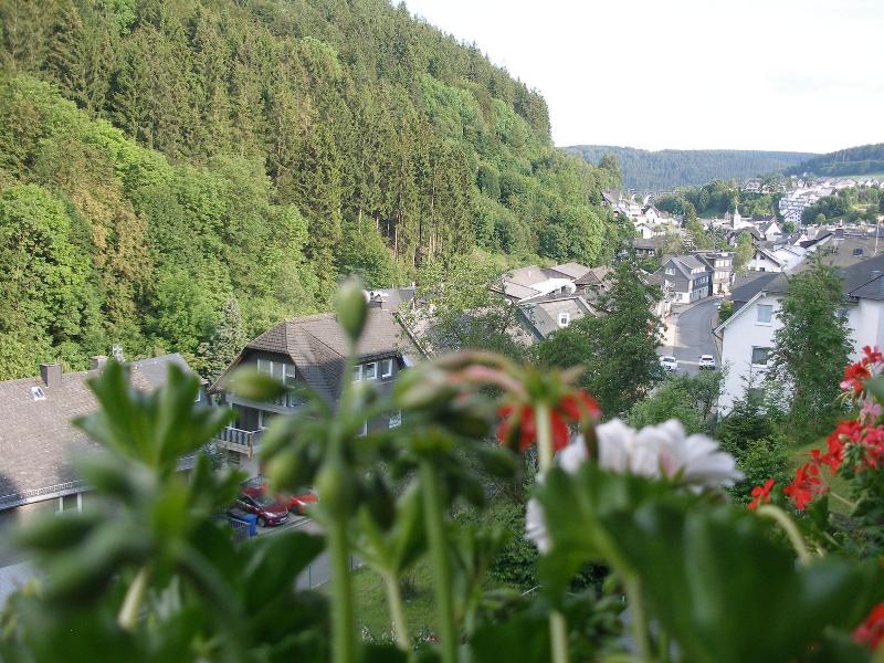 Pension Haus Waldfrieden image