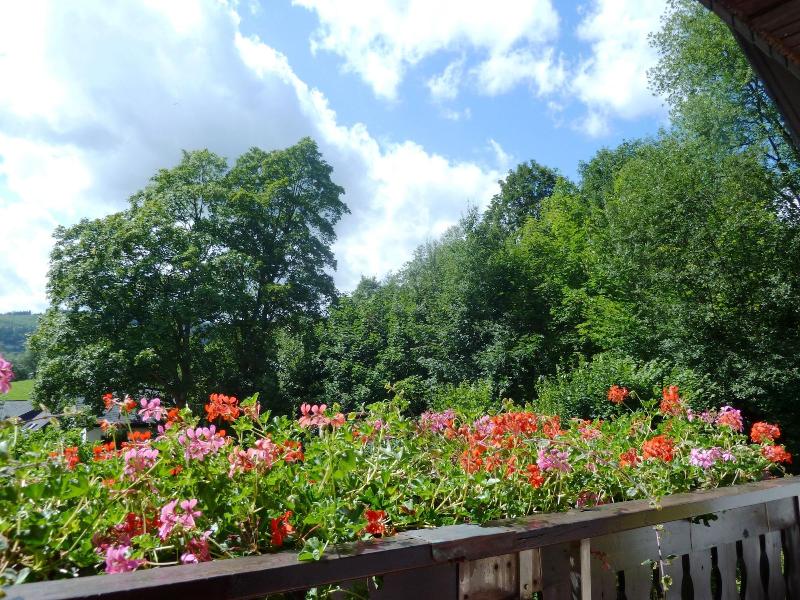 Pension Haus Waldfrieden image