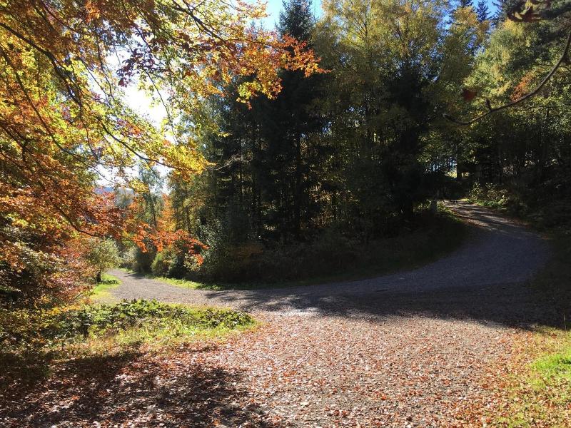Pension Haus Waldfrieden image