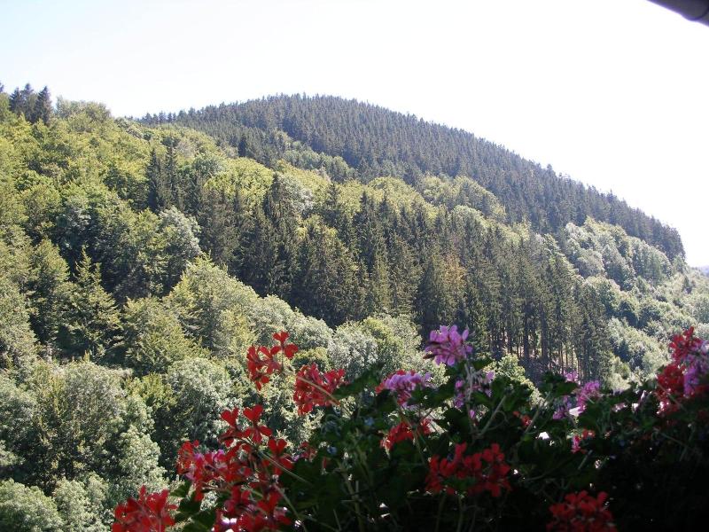 Pension Haus Waldfrieden image