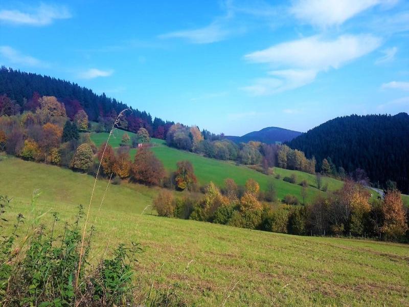 Pension Haus Waldfrieden image