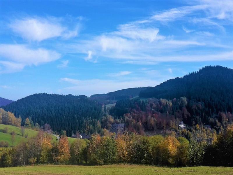 Pension Haus Waldfrieden image