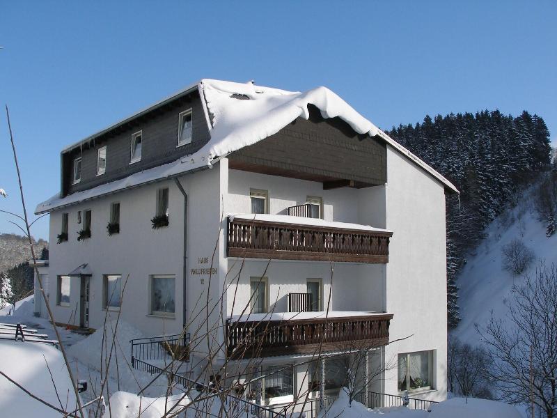 Pension Haus Waldfrieden image