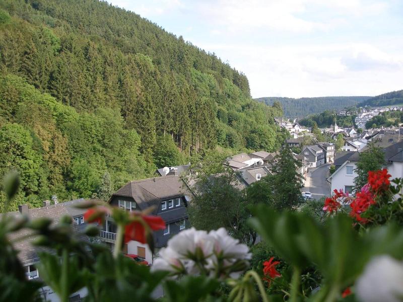Pension Haus Waldfrieden image