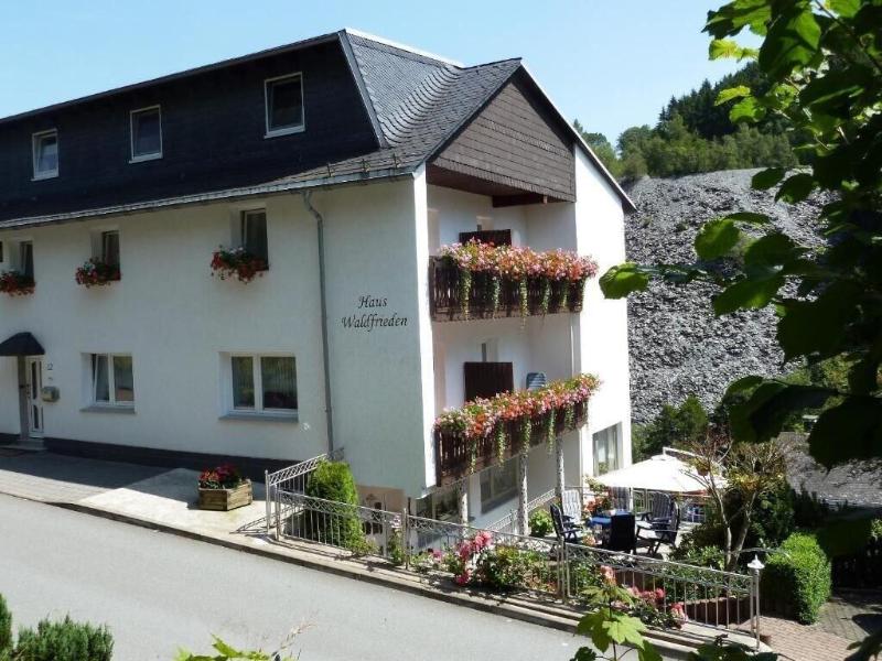 Pension Haus Waldfrieden image