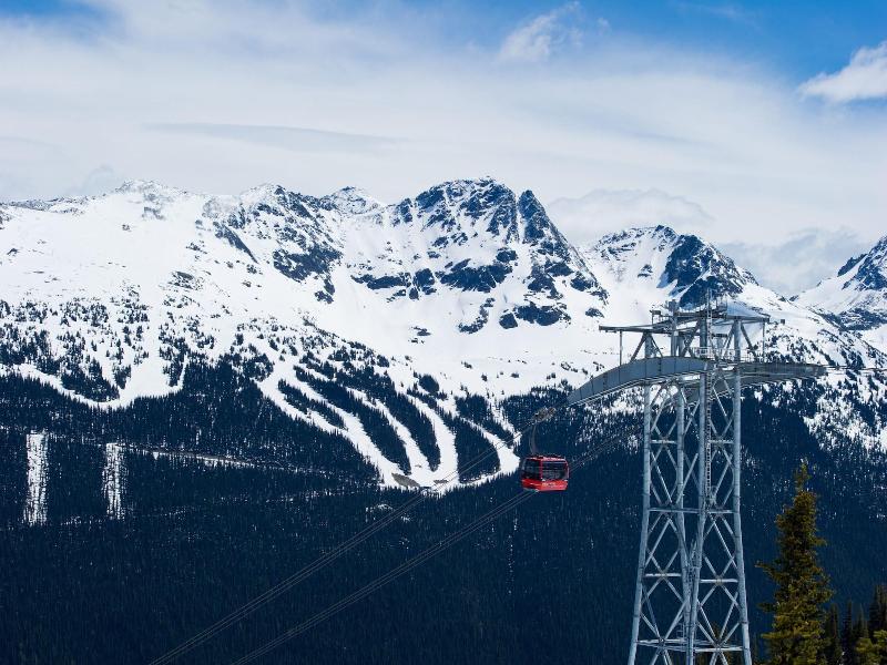 Northstar By Whiski Jack image