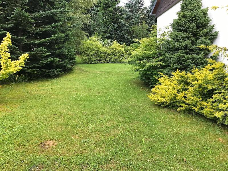 Spacious Cottage In Neuastenberg Sauerland Near  image