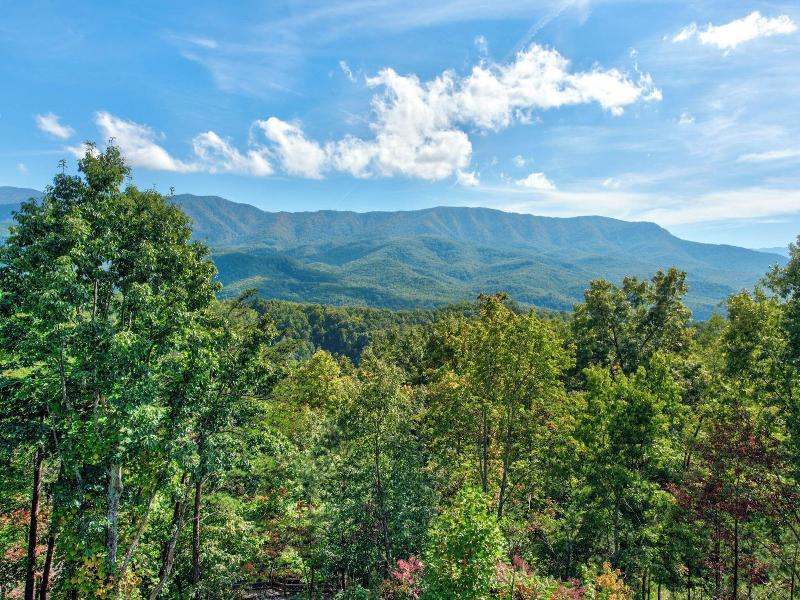 On Eagle's Wings By Jackson Mountain Rentals — photo 48