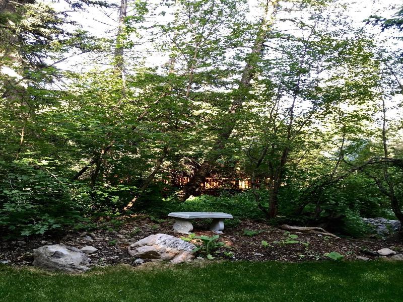 Treehouse By The Stream