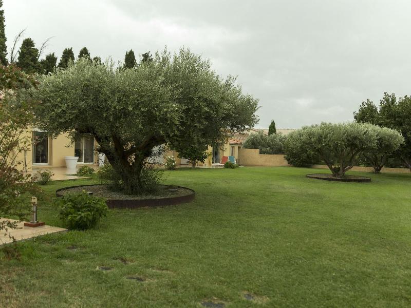 La Casa Nert image
