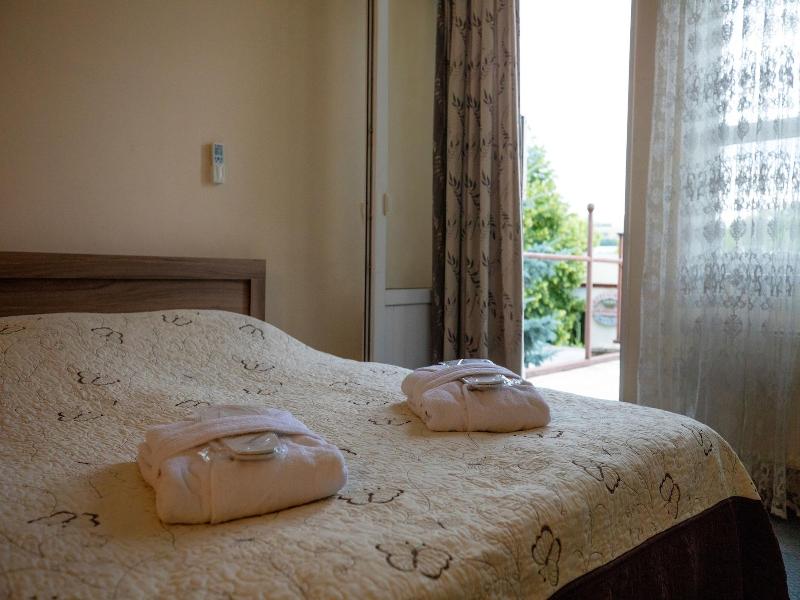 Leader Hotel image