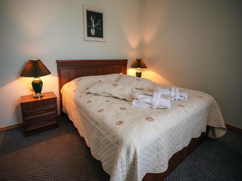 Leader Hotel image